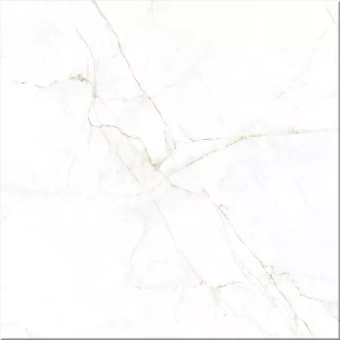 PERONDA DUAL WHITE SP/100X100/R 100X100