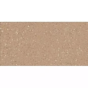 LASSELSBERGER RAKO PORFIDO DASV1814 OCHRE 59,8Х119,8