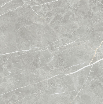 TAU CERAMICA ELITE GRAY PUL 90x90x0,9