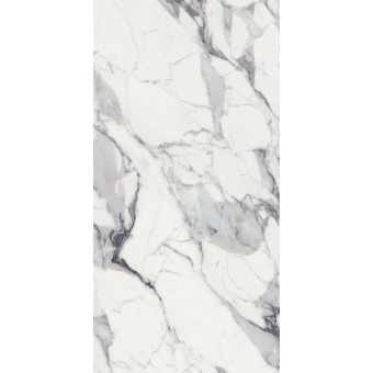 REX LES ORIGINES ARGENT 769963 120X240X0,6