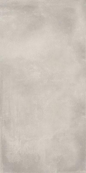 DADO BASIC LIGHT GREY 60X120