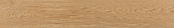 ATRIUM EVOQUE ROBLE 20x120x0,9