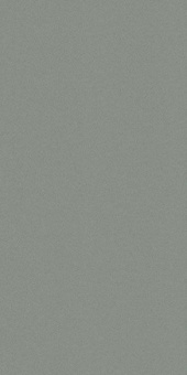 CERDISA EC1/22 / ECC PINE NATURAL RETT 60X120