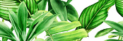 CERAMIKA COLOR PREMIUM GARDEN TROPIC A ДЕКОР 25X75X0,9