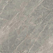 REX ETOILE GRIS GLOSSY RETT 761750 120X120X0,6