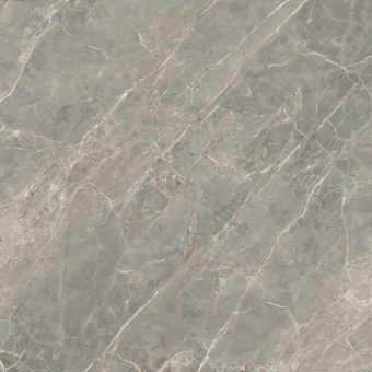 REX ETOILE GRIS GLOSSY RETT 761750 120X120X0,6