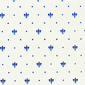 APE LORD KNIGHT VERDE BOTELLA 20x20