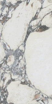 CENTURY MEDLEY NOTE MOLATA RET 60X120