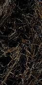 NAXOS SERENADE TREASURE LEV RET 60X120