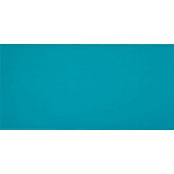 PAMESA AGATHA TURQUESA 25x50