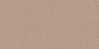 CERRAD MONOLIGHT MOCCA RECT 29,7X59,7X0,95
