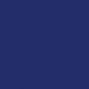 PARADYZ INWESTA GAMMA KOBALTOVA SCIANA POLYSK 19,8X19,8