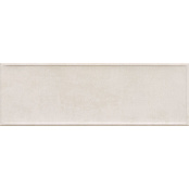 SALONI BORDER MARFIL EKA670 20x60