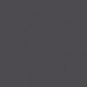 PARADYZ INWESTA GAMMA GRAFIT SCIANA POLYSK 19,8X19,8