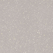 PARADYZ MACROSIDE (Moondust) Silver semipolished 59,8x59,8x1