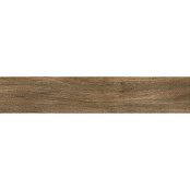 PAMESA ATRIUM BOREAL ROBLE 23x120