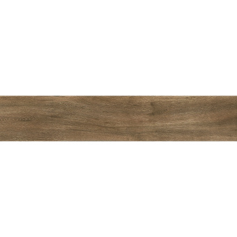 PAMESA ATRIUM BOREAL ROBLE 23x120