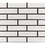 PARADYZ KLINKIER SCANDIANO BIANCO STRUKTURA ELEWACJA 24.5x6.6