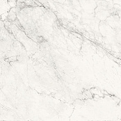 LA FAENZA AESTHETICA AE CAL6 120 LP 120X120