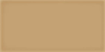 VIVES CORSO CARAMELO 10X20X0,75