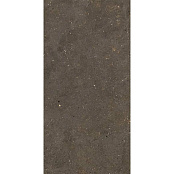 FIANDRE SOLIDA BROWN GAB600C100006 100X100X0,6