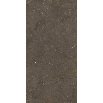 FIANDRE SOLIDA BROWN GAB600C100006 100X100X0,6