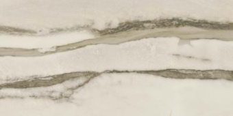 AZTECA CERAMICA AMAZONAS FOREST MAT 60X120
