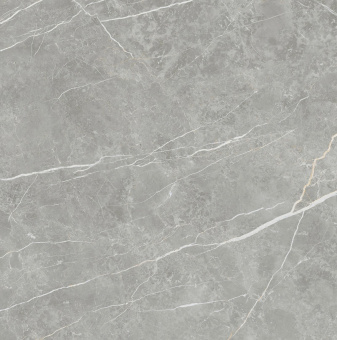 TAU CERAMICA ELITE GRAY MATT 90x90x0,9