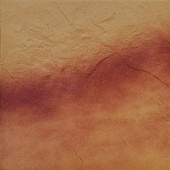 Фото плитки CERRAD JESIENNY LISC RUSTICO 30X30 из коллекции CERRAD SHADOW 