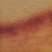 CERRAD JESIENNY LISC RUSTICO 30X30