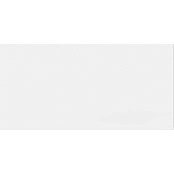 PARADYZ NEVE BIANCO SCIANA REKT. POLYSK 29,8x59,8