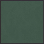 CEDIT POLICROMA CORNICE CONIFERA MAT 6MM RETT 764105 120x120