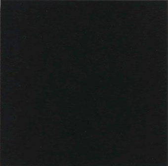 VIVES MONOCOLOR NEGRO 20X20X1