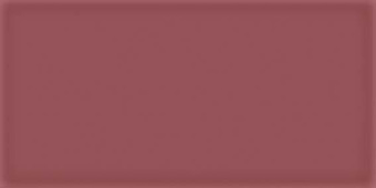 VIVES CORSO BURDEOS 10X20X0,75