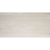 APAVISA FORMA MARFIL STUCCATO 59.55x119.3