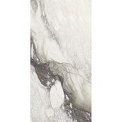 REX ETOILE RENOIR RET GLO 761737 120X240X0,6