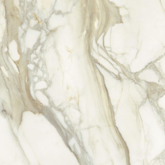 FMG MARMI MAXFINE CALACATTA ORO PRELUCIDATO 75X75