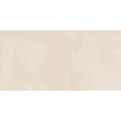 ALMERA CERAMICA-2 HENGE CLAY 60Х120