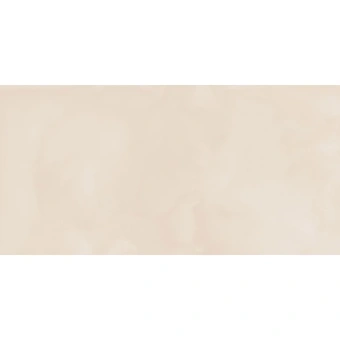 ALMERA CERAMICA-2 HENGE CLAY 60Х120