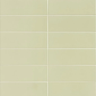 MAINZU JUNGLE MINT 10X30