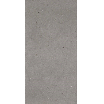 FIANDRE FJORD GREY FJORD STR AP209X2064R11 60X120X2