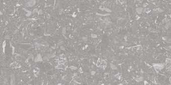 VIVES LUNA 4ZLK GRIS 60X120X1,1