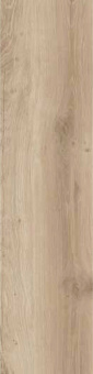 RONDINE BRICOLA MIELE 20 RET 20X120