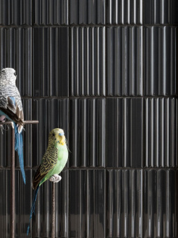 41ZERO42 WIGWAG BLACK 7,5X15