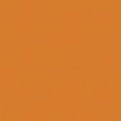 PARADYZ INWESTA GAMMA POMARACCZOWA SCIANA POLYSK 19,8X19,8