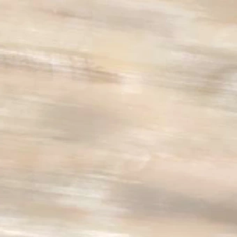 ROBERTO CAVALLI TANDUK CONCHIGLIA 60X60