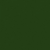 APE LORD KINGDOM VERDE BOTELLA 20x20