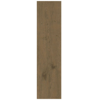 ATLAS CONCORDE ENTICE BROWNED OAK NATURAL OUTDOOR A9DF 30X120X2