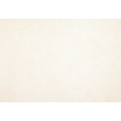 PAMESA CERAMICA DREAM BLANCO 31.6x45.2