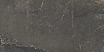 LEA CERAMICHE ANTHOLOGY 05 DARK NATURAL 60X120